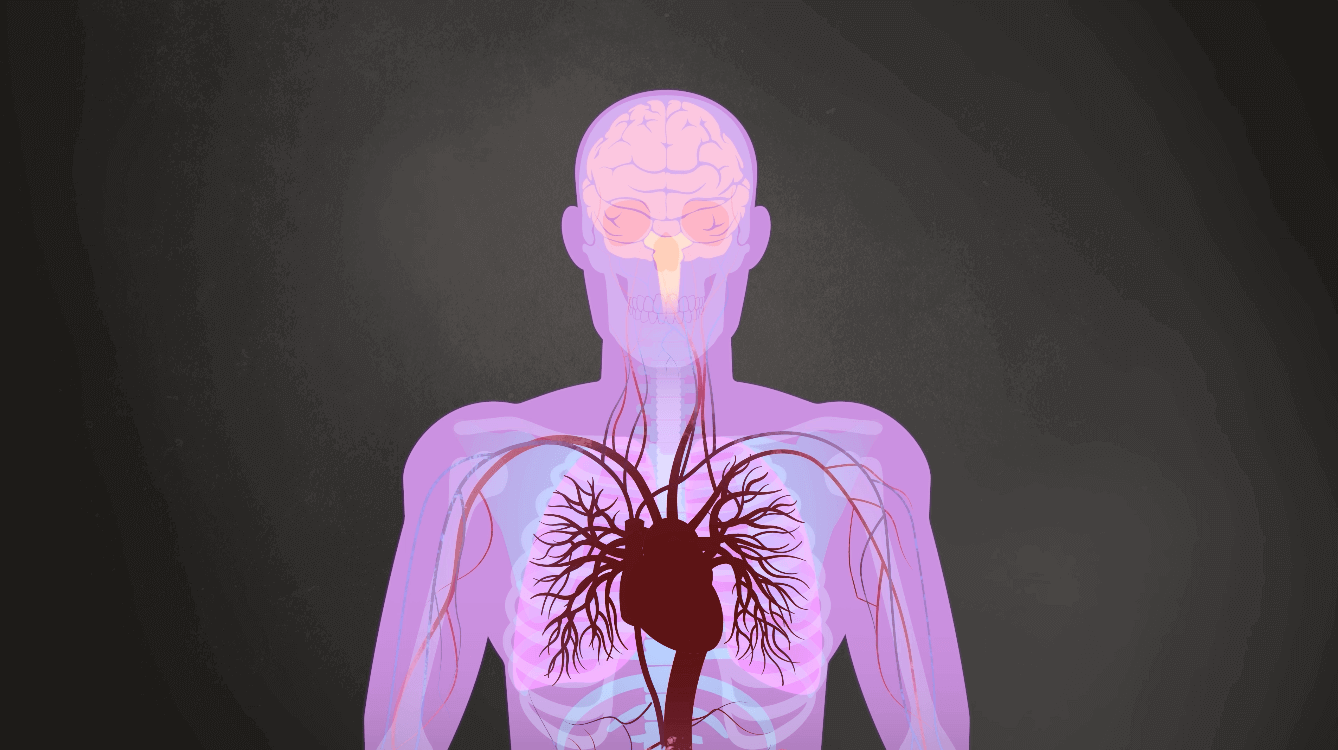 Periodontitis and Your Health